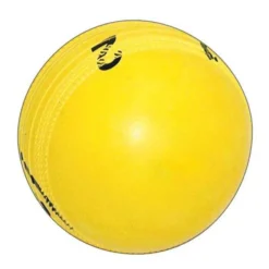 GRAY NICOLLS SPIN CRICKET BALL