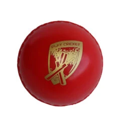 CRICKET BALL POLLY SOFTY PLAY