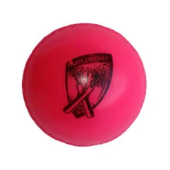POLY SOFT CRICET BALL BALL