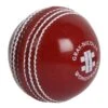 CRICKET BALL WONDERBALL JUNIOR GRAY NICOLLS
