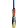 GRAY NICOLLS COLOSSUS CRICKET BAT