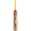 GRAY NICOLLS CRICKET BAT ULTRA 600