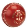 GRAY NICOLLS TEST CROWN 2PCE