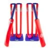 FORMAULA CRICKET SET DOUBLE DELUX PLASTIC