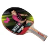 BUTTERFLY RDJS2 TABLE TENNIS BAT