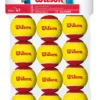 WILSON TENNIS BALL STARTER RED 12 PACK