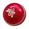 KOOKABURRA PRACTICE CRICKET BALL