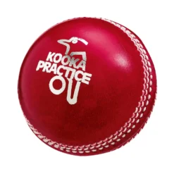 KOOKABURRA PRACTICE CRICKET BALL