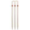 CRICKET SHIELD STUMPS GN